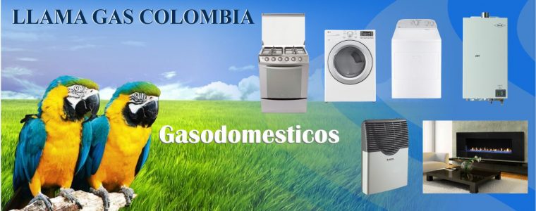 GASODOMESTICOS